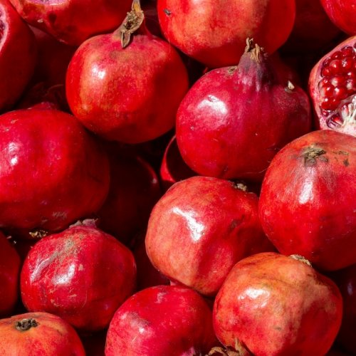 Pomegranate 